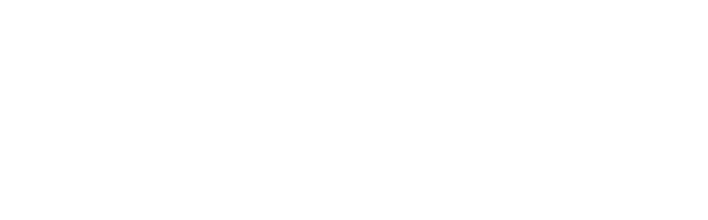 HAKA BYD Logo